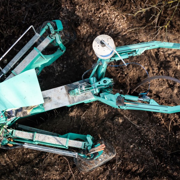 DJI 20250303141056 0556 D (Large)