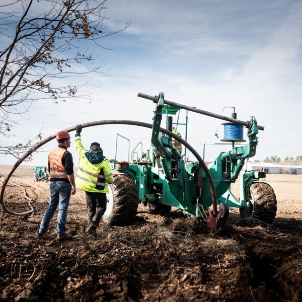 DSC06249 (Large) (2)