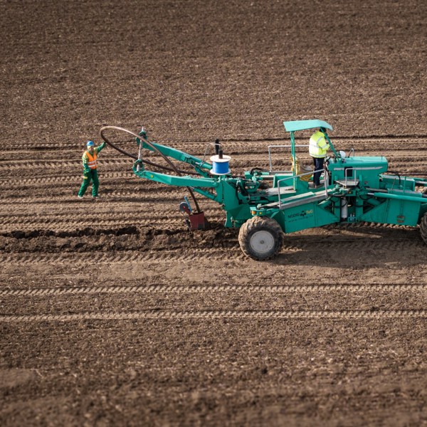 DJI 20250304093928 0162 D (Large)