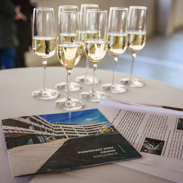 20241107 MARHOLD PSN Parkovacidum HQ 013 CAB2652