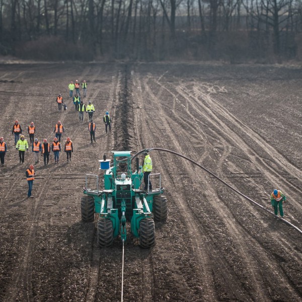 DJI 20250304094124 0167 D (Large)